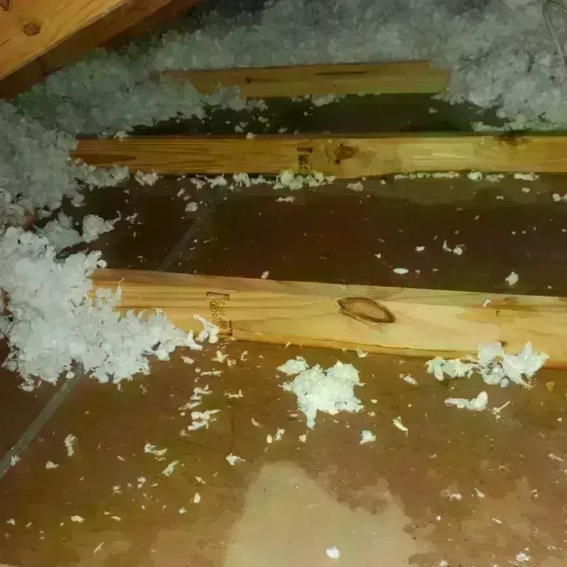 Attic Water Damage in Ferndale, WA